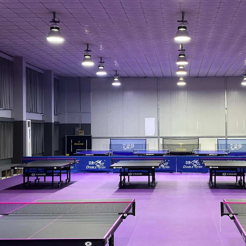 ชั้นพื้นผิวกีฬาพิเศษสำหรับสนามเทเบิล